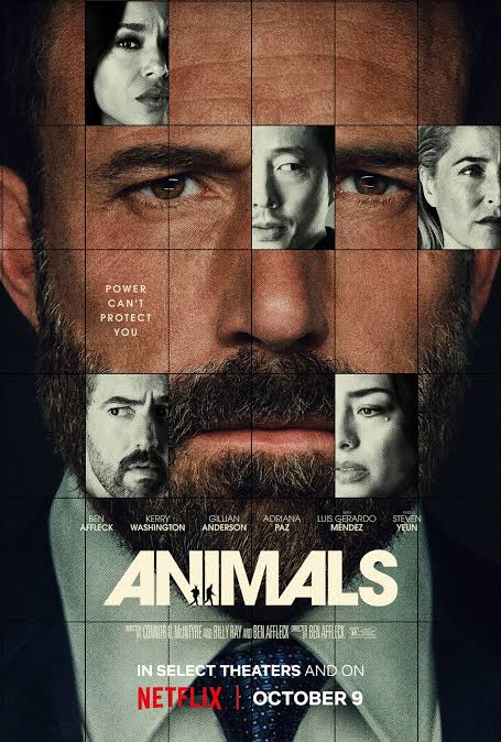 Animals poster